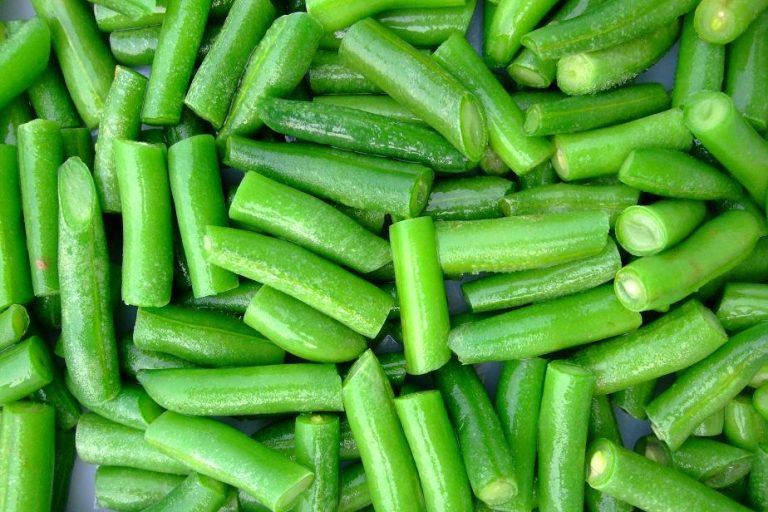 CUT GREEN BEAN 2-4CM