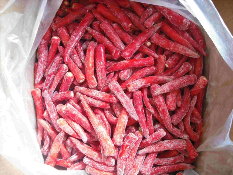 DSCF010