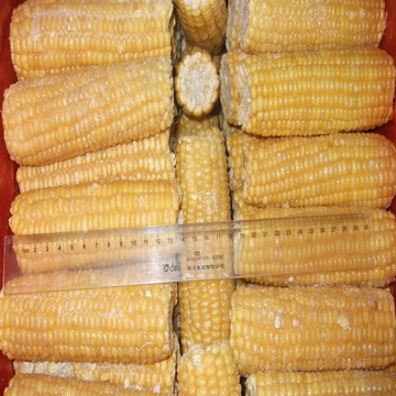 DSCF7399