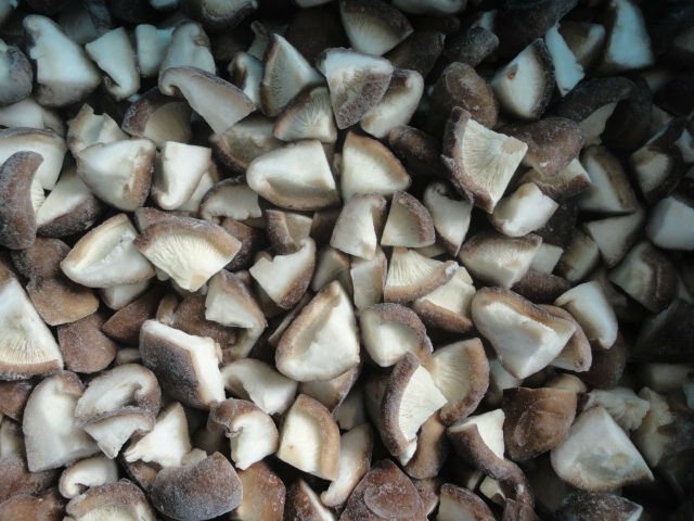 _font_b_Frozen_b_font_shiitake