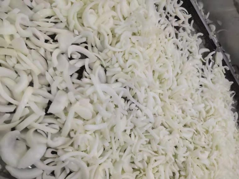 onion strips