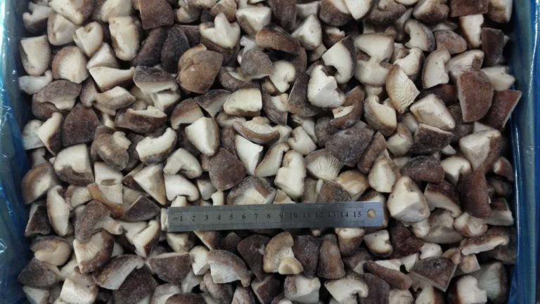 shiitake quaters 2